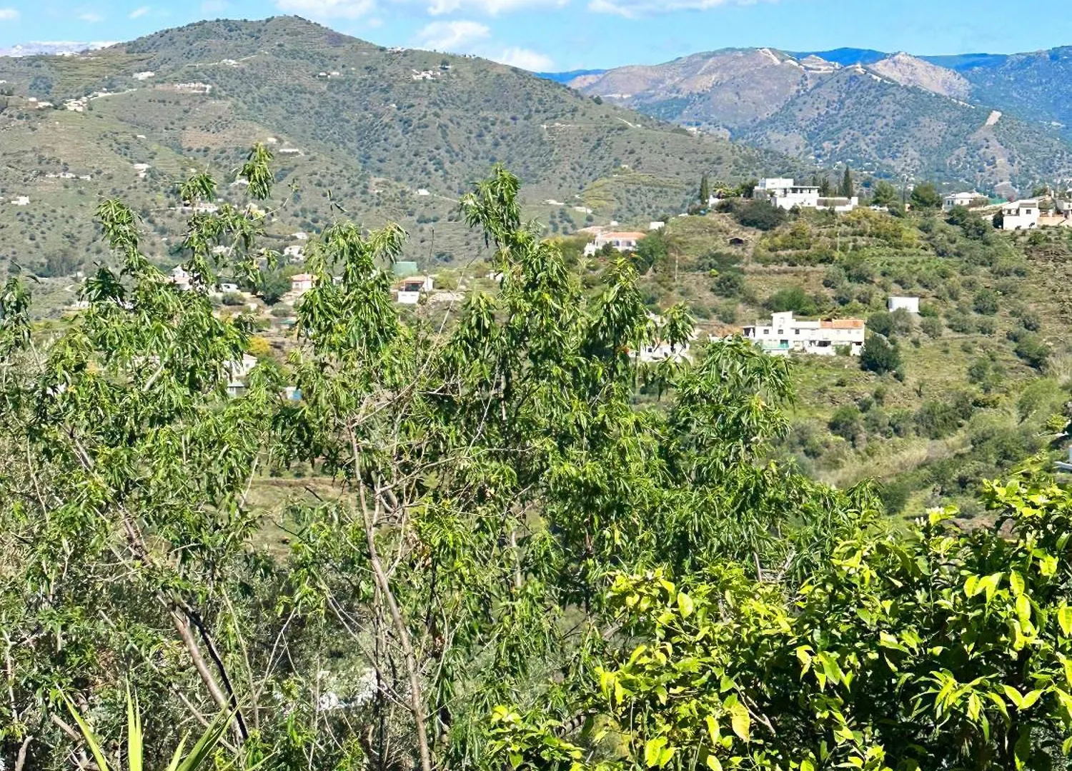 Casa Mora, Privater Pool, Meerblick, Toller Garten Torrox